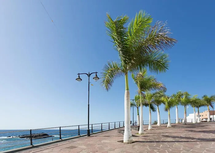 Con Gran Terraza Chill Out *